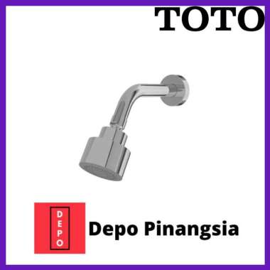 Fixed shower head TOTO TX438SE