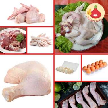 Ayam 1 Ekor / Sayap/ Kepala Ayam / Paha / Ceker / Ati Ampela / Telur / Kulit / Usus - Bawangbagus At