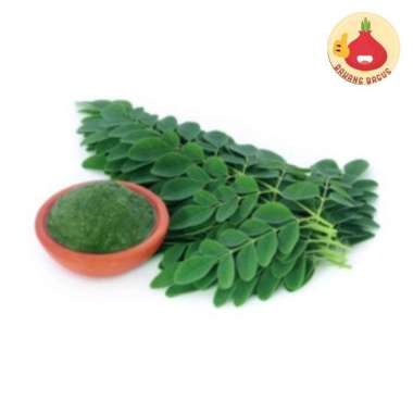 Daun Kelor 1 Ikat / Daun Kelor Segar