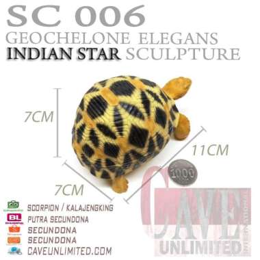 Replika patung tortoise Indian Star Instar istar kura kura darat torto INDIAN STAR