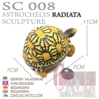 Replika patung tortoise Indian Star Instar istar kura kura darat torto RADIATA