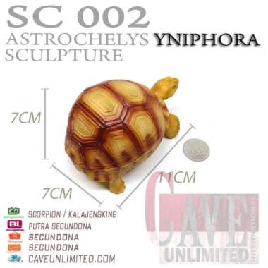 Replika patung tortoise Indian Star Instar istar kura kura darat torto YNIPHORA