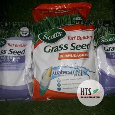 Benih Biji Rumput Impor - Benih Rumput Bermuda