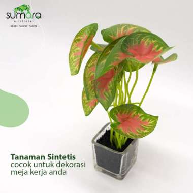 Tanaman Sintetis / Tanaman Palsu Daun Aglonema Mini