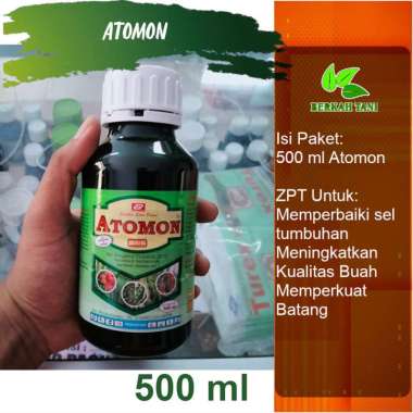 Atomon 500 ml ZPT Dekamon