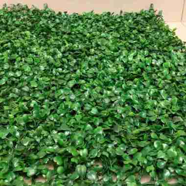 DAUN DOLAR DOLARAN DINDING SINTETIS