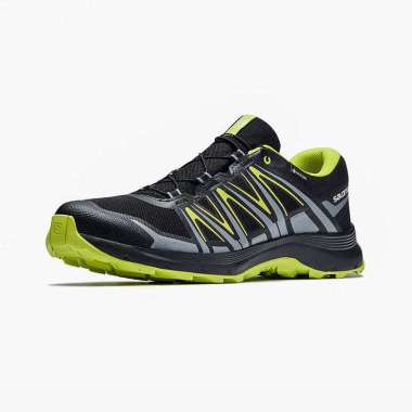 salomon shoe