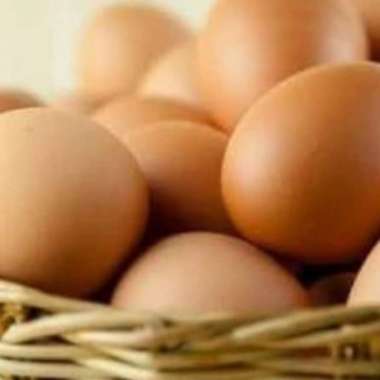 Telur Ayam 1kg