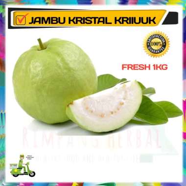 Jambu / Jambu Kristal / Jambu Kristal Sunpride / Buah Segar / 1KG TERMURAH