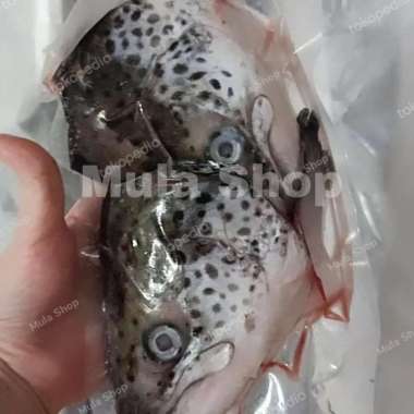 KEPALA SALMON UTUH 351-399 gr