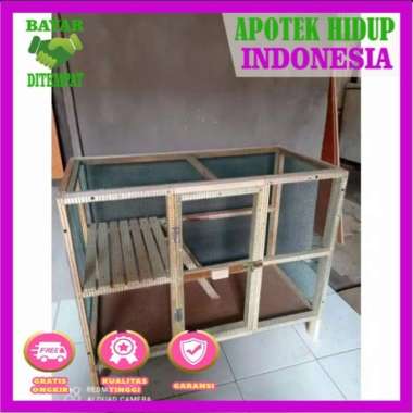 kandang kucing besar 2 tingkat