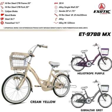 Sepeda Anak Perempuan 20 inch Exotic Mini ET 9788 MX