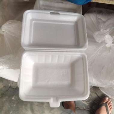 styrofoam nasi 1pcs
