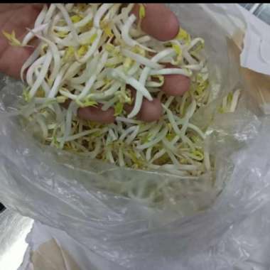 Sayur Toge Tauge 1 kg