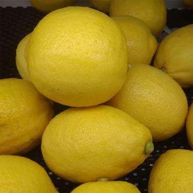 B Amp D Shop S Buah Jeruk Lemon 500 G