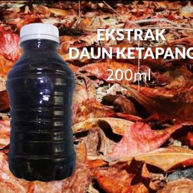 extrak daun ketapang laut 200 ml