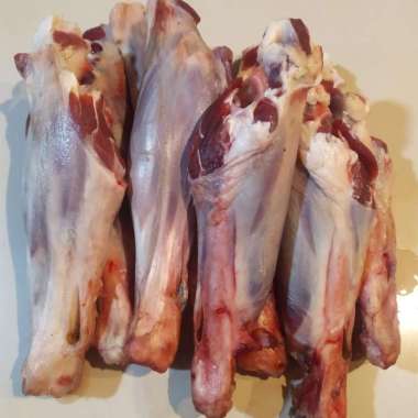 DAGING SENGKEL KAMBING SEGAR