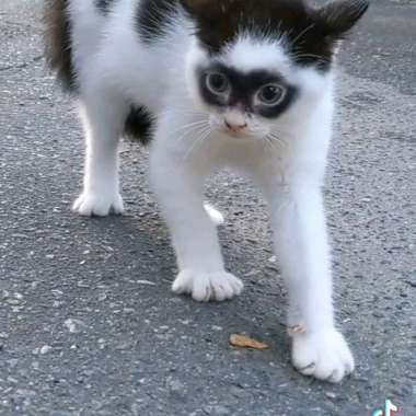 KESING BELAKANG BACK CASHING BACK DOOR XIAOMI REDMI 9C- 2020 M2006C3MG HITAM