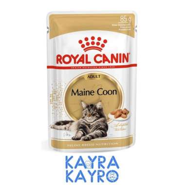 Royal Canin Adult Maine Coon Cat 85 gr Pouch - Makanan Basah Kucing Dewasa Mainecoon