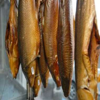 67 Bandeng Asap Khas Sidoarjo [1 Ekor]