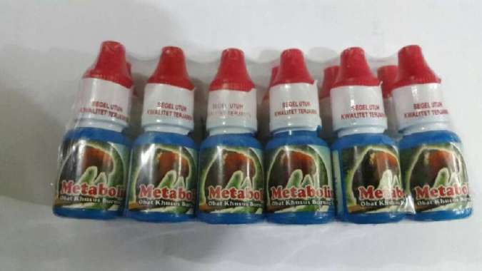 Metabolisme untuk semua burung berkicau