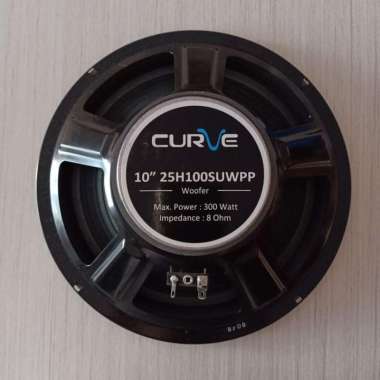 Speaker Curve 10 Inch Woofer