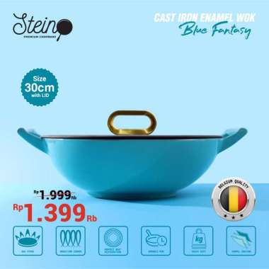 Steincookware Stein Cast Iron Enamel Wok 30 cm | Inner Coating Enamel Belgia Europe | Non-Stick Coat