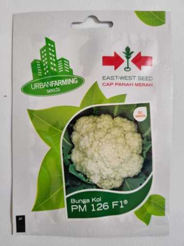 Benih Bunga Kol Hibrida PM 126 F1