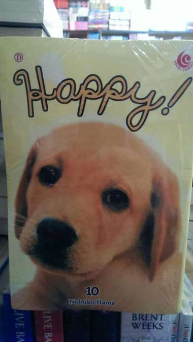 Buku Bacaan Fiksi Happy