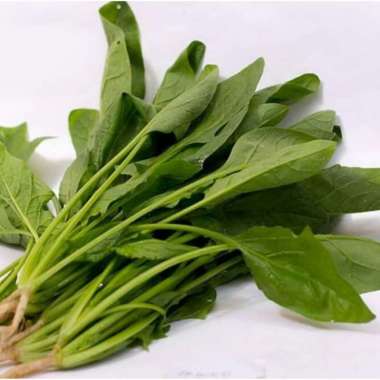 Bayam Jepang Bayam Jepang Horenzo Poling Hornzo 500gr