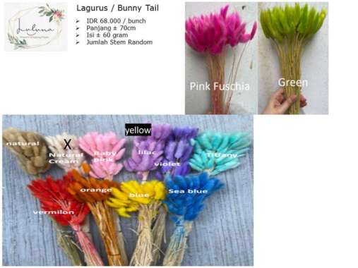 Lagurus / Bunny Tail / Dried Flower / Bunga Kering Multicolor