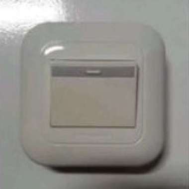 SAKLAR SINGLE PANASONIC MATA BESAR 5541