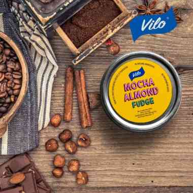 VILO Gelato Mocha Almond Fudge [250 mL]