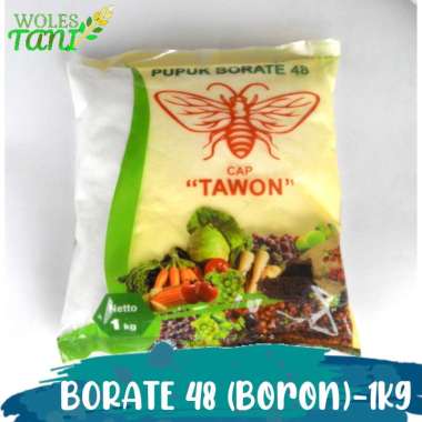 Borate 1 Kg Pupuk Boron Putih