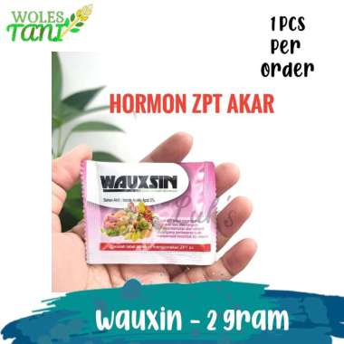 Wauxin 2 Gram Auxin Penumbuh Akar Putih