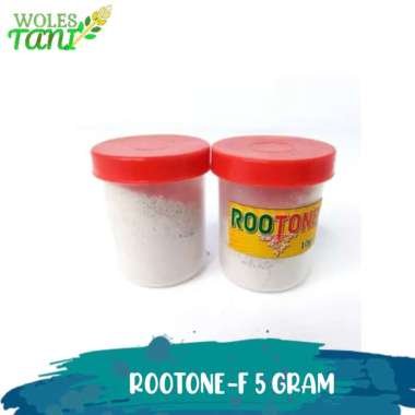 Rootone F 5 Gram Aktivator Akar Cangkok dan Stek Multicolor