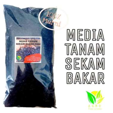 MEDIA TANAM SEKAM BAKAR PADI