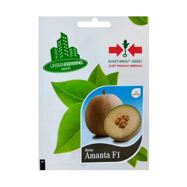 Panah Merah Benih Melon AMANTA F1 Tanaman