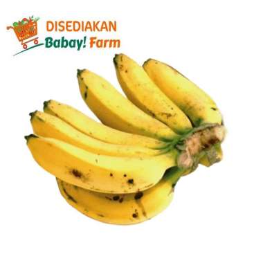 Pisang Raja Nangka