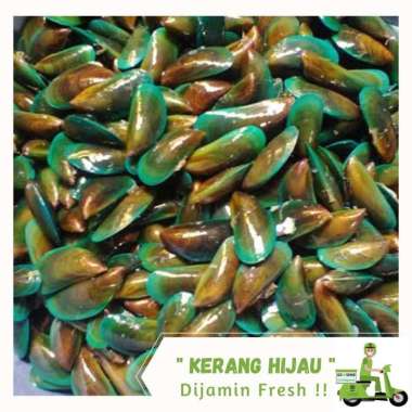 Kerang Hijau Segar 1kg