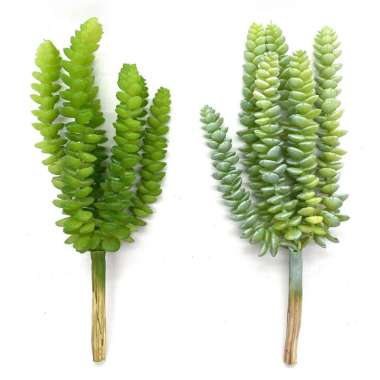 Scoop Tanaman Imitasi - Artificial Plant Sukulen Kaktus 60078100 variasi 01