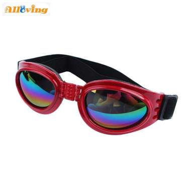 red dog sunglasses