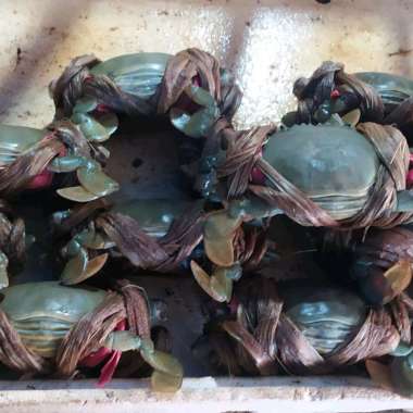 Supernova Mart - Kepiting Bakau Hidup [1 kg]