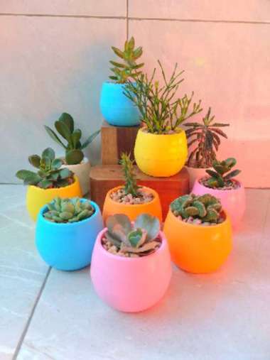 Paket Pot Bola Mini Plastik Warna Warni Kecil Lucu Hidro Warna Random Claypot Tanaman Hias Bunga Kak