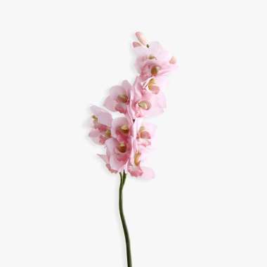 KANA Saffron - Dekorasi Bunga