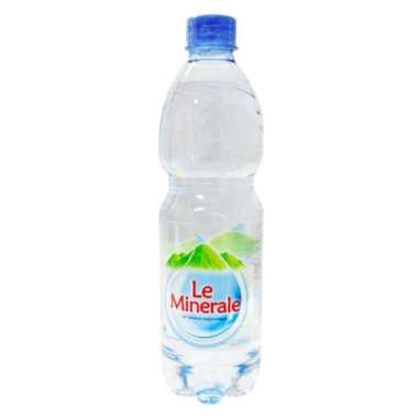 LE MINERALE 600ML