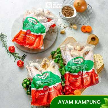Ayam Potong Kampung Utuh Asli Natural Poultry 700gr - 800gr Daging Fresh & Frozen
