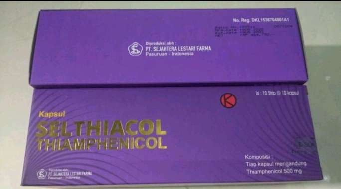Dionicol thiamphenicol 500 mg obat untuk apa