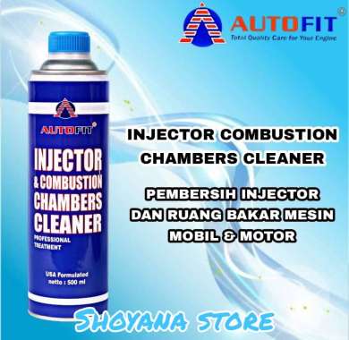 AUTOFIT INJECTION & CHAMBERS CLEANER
