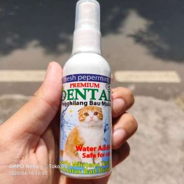 Dental cat 60ml - menghilangkan bau mulut kucing membersihkan mulut